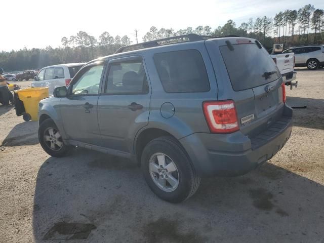 2010 Ford Escape XLT