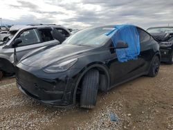 Tesla salvage cars for sale: 2022 Tesla Model Y