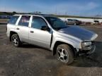 2008 Chevrolet Trailblazer LS