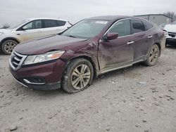 Salvage cars for sale at Wayland, MI auction: 2013 Honda Crosstour EXL