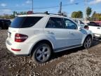 2011 Mercedes-Benz ML 350 Bluetec