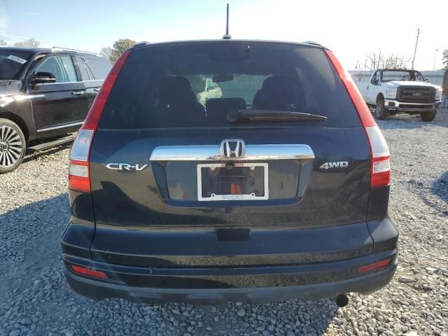 2010 Honda CR-V EXL