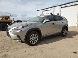 2020 Lexus NX 300 Base en venta en Albuquerque, NM