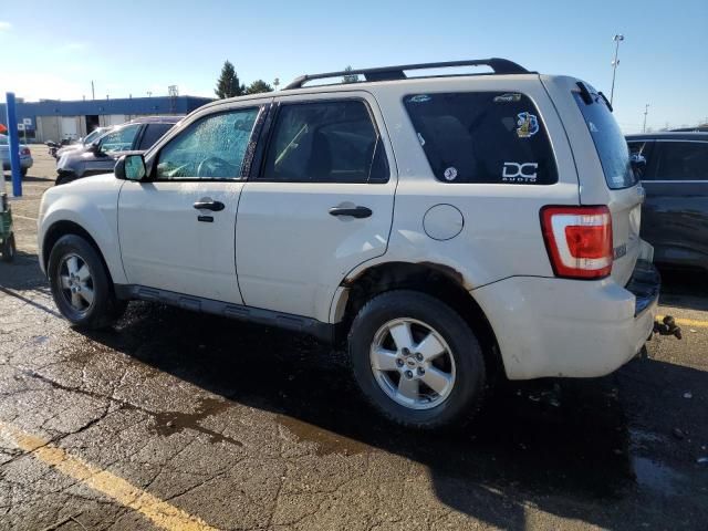 2010 Ford Escape XLT