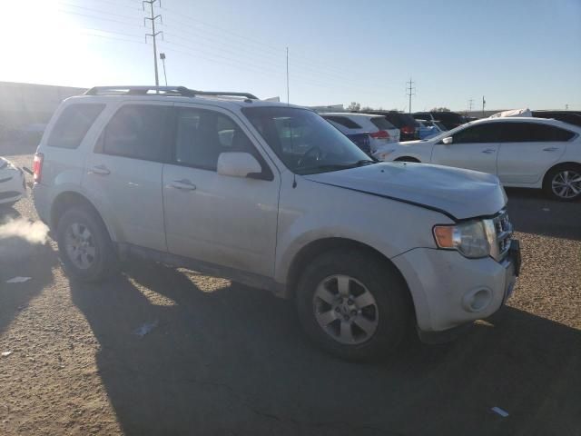 2011 Ford Escape Limited