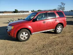 Ford salvage cars for sale: 2009 Ford Escape XLT