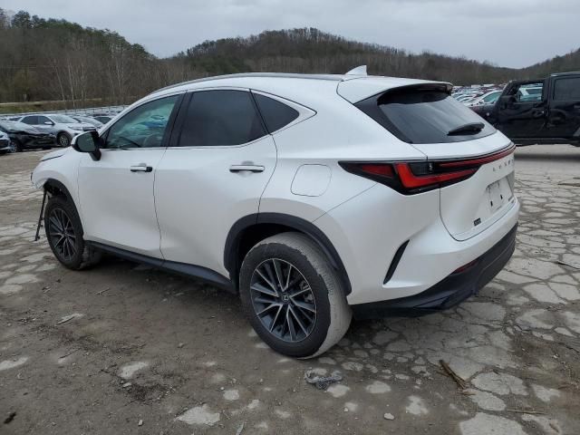 2024 Lexus NX 350 Premium