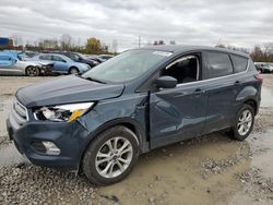 Salvage cars for sale at Columbus, OH auction: 2019 Ford Escape SE