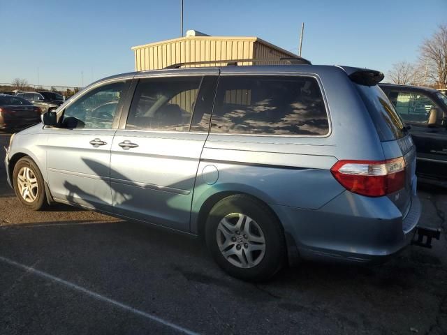 2005 Honda Odyssey EXL