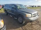 2005 Dodge Dakota Quad SLT