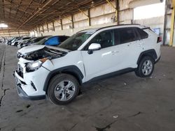 2021 Toyota Rav4 XLE en venta en Phoenix, AZ