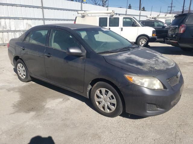 2010 Toyota Corolla Base