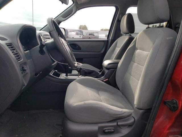 2005 Ford Escape XLT