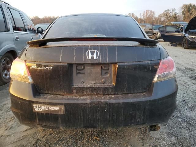 2010 Honda Accord LXP