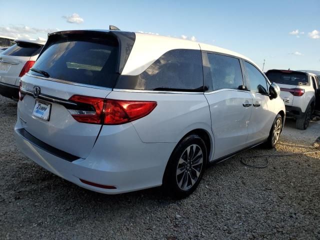 2024 Honda Odyssey EXL