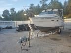 1985 Sea Ray Sundancer