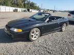 1998 Ford Mustang Cobra