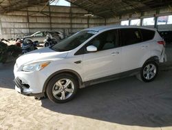 Salvage cars for sale at Phoenix, AZ auction: 2013 Ford Escape SE