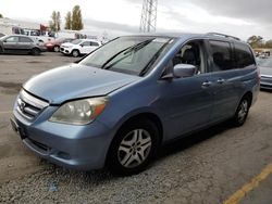 2006 Honda Odyssey EXL en venta en Hayward, CA