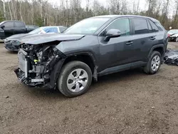 Salvage cars for sale at Cookstown, ON auction: 2023 Toyota Rav4 LE