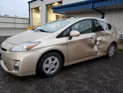 Toyota salvage cars for sale: 2010 Toyota Prius