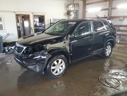 Salvage cars for sale at Pekin, IL auction: 2011 KIA Sorento Base