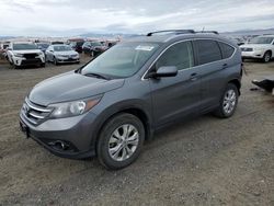 Salvage cars for sale at Helena, MT auction: 2012 Honda CR-V EXL