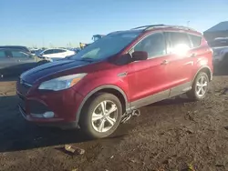 Ford salvage cars for sale: 2013 Ford Escape SE