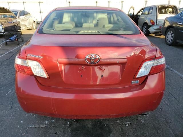 2009 Toyota Camry Hybrid