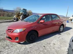 Salvage cars for sale from Copart Chambersburg, PA: 2011 Toyota Corolla Base