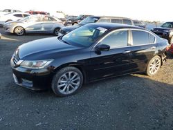 Salvage cars for sale at Antelope, CA auction: 2013 Honda Accord Sport