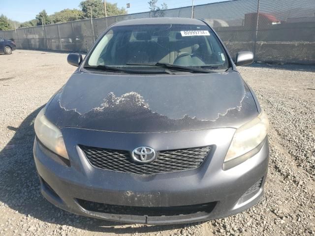 2009 Toyota Corolla Base