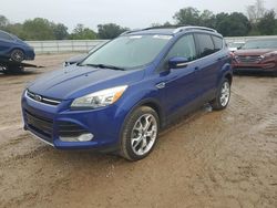 Salvage cars for sale from Copart Theodore, AL: 2013 Ford Escape Titanium