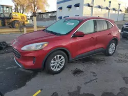 2020 Ford Escape SE en venta en Albuquerque, NM