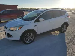 2014 Ford Escape SE en venta en Arcadia, FL