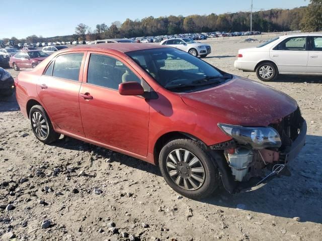 2010 Toyota Corolla Base