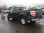 2009 Ford F150