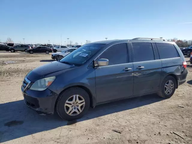 2005 Honda Odyssey EXL