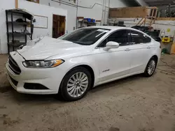 2014 Ford Fusion SE Hybrid en venta en Ham Lake, MN