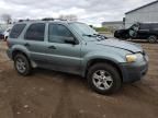 2005 Ford Escape XLT