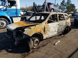 Salvage cars for sale at Denver, CO auction: 2009 Subaru Forester 2.5X