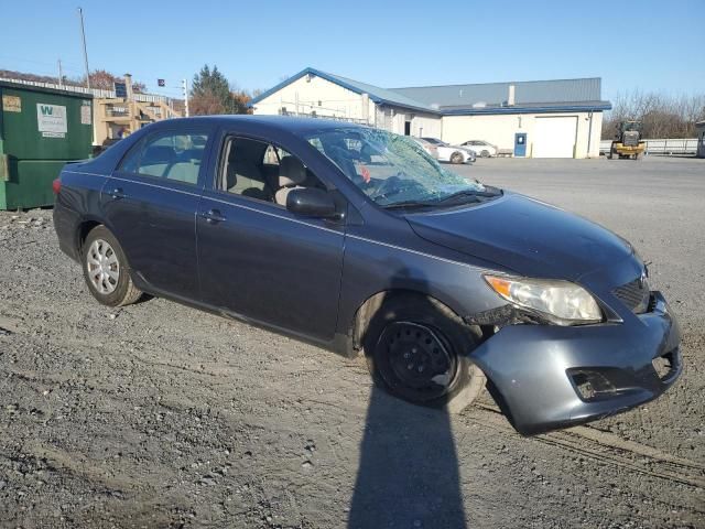 2010 Toyota Corolla Base