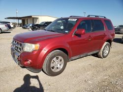 Ford Escape salvage cars for sale: 2009 Ford Escape Limited