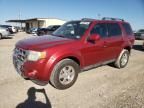 2009 Ford Escape Limited