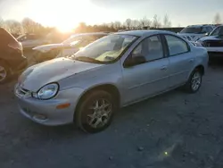 Dodge Vehiculos salvage en venta: 2002 Dodge Neon ES