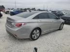 2013 Hyundai Sonata Hybrid