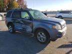 2010 Ford Escape Limited