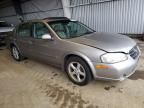 2001 Nissan Maxima GXE