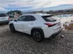 2019 Lexus UX 250H