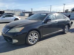 Salvage cars for sale at Sun Valley, CA auction: 2012 Lexus ES 350